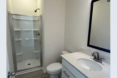 562 Griffon Drive, Chapin, SC 29036 - Photo 3