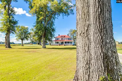 2530 St. Charles Road, Bishopville, SC 29010 - Photo 3