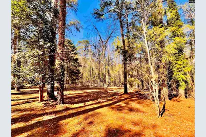 1301 Winterwood Road, Columbia, SC 29203 - Photo 43