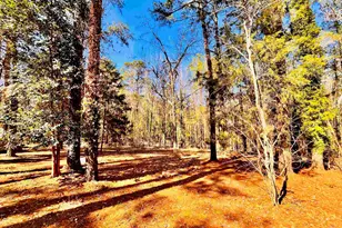 1301 Winterwood Rd, Columbia, SC 29203 - Photo 43