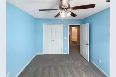 111 Wahoo Circle, Irmo, SC 29063 - Photo 19