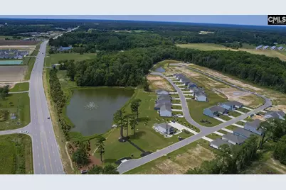 158 Ruby Prince Road, Gilbert, SC 29054 - Photo 47