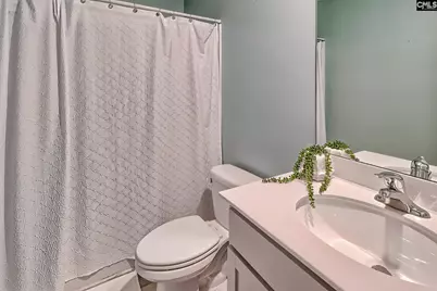 116 Rushton Drive, Chapin, SC 29036 - Photo 21