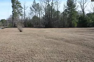 550 Old Shoals Rd, Monetta, SC 29125 - Photo 47