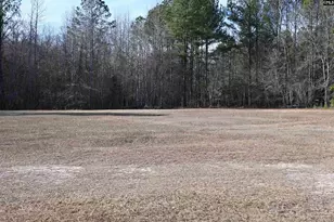 550 Old Shoals Rd, Monetta, SC 29125 - Photo 51