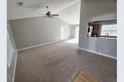 165 Crassula Drive, Lexington, SC 29073 - Photo 9