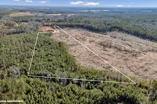 0 Shiloh Rd, Saluda, SC 29138 - Photo 1