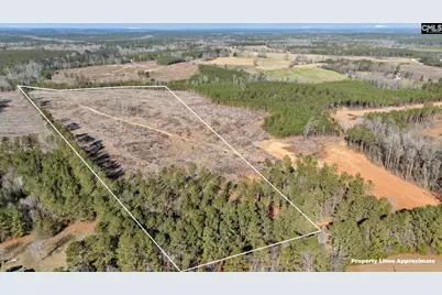 0 Shiloh Road #A, Saluda, SC 29138 - Photo 5