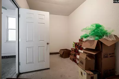 833 Mt Valley Road, Blythewood, SC 29016 - Photo 43