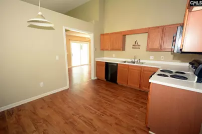 163 Firebridge Drive, Chapin, SC 29036 - Photo 7