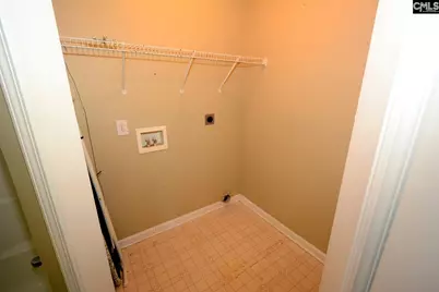163 Firebridge Drive, Chapin, SC 29036 - Photo 13