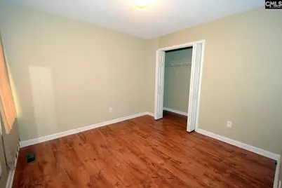 163 Firebridge Drive, Chapin, SC 29036 - Photo 11