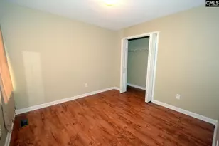 163 Firebridge Dr, Chapin, SC 29036 - Photo 11