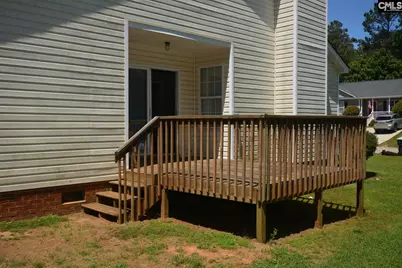 163 Firebridge Drive, Chapin, SC 29036 - Photo 17