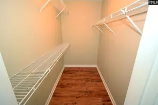 163 Firebridge Dr, Chapin, SC 29036 - Photo 9