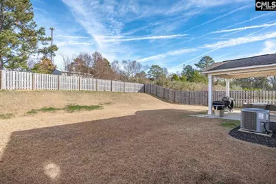 226 Wahoo Circle, Irmo, SC 29063 - Photo 29