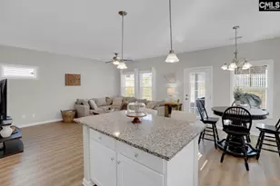 226 Wahoo Cir, Irmo, SC 29063 - Photo 9