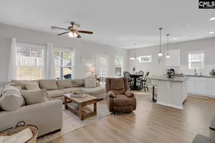 226 Wahoo Cir, Irmo, SC 29063 - Photo 11