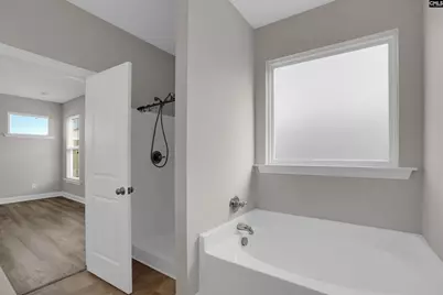 158 Whispering Oak Lane, Chapin, SC 29036 - Photo 27