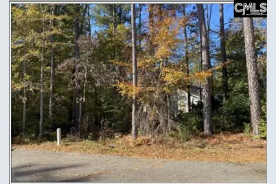 106 Admirals Point, Leesville, SC 29070 - Photo 1