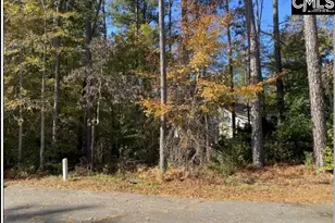 106 Admirals Point, Leesville, SC 29070 - Photo 1