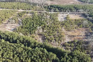 3071 Arcadia Rd, Bethune, SC 29009 - Photo 1