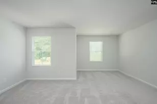 541 Carters Grove Ln, Blythewood, SC 29016 - Photo 23