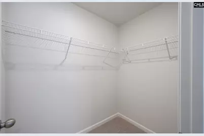 541 Carters Grove Lane, Blythewood, SC 29016 - Photo 27