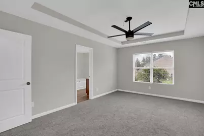 100 Baltic Court, Chapin, SC 29036 - Photo 17