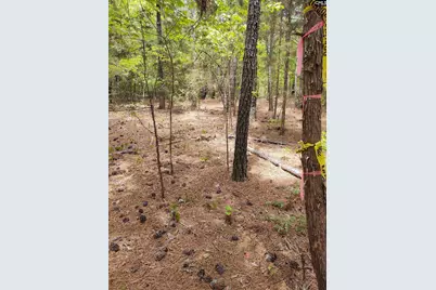 1109 Hopewell Church Road, Irmo, SC 29063 - Photo 1