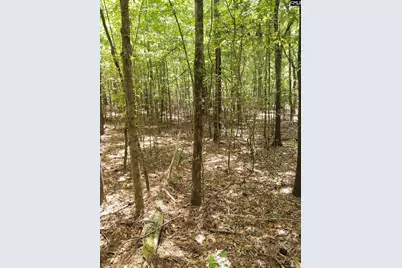 1109 Hopewell Church Road, Irmo, SC 29063 - Photo 7