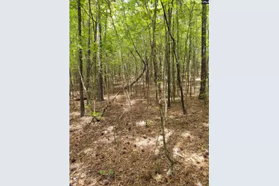 1109 Hopewell Church Road, Irmo, SC 29063 - Photo 5