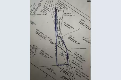 0 Myers Lane Myers Lane, Saint Matthews, SC 29135 - Photo 3