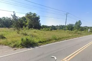 1304 Amicks Ferry Rd, Chapin, SC 29036 - Photo 1