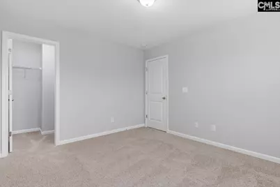 147 Ventnor Avenue, Chapin, SC 29036 - Photo 19