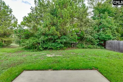 147 Ventnor Avenue, Chapin, SC 29036 - Photo 31