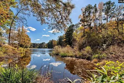 728 Bentley Drive, Lexington, SC 29072 - Photo 33