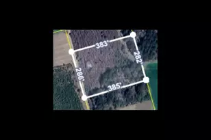 70 Chance Ln, Salters, SC 29590 - Photo 1