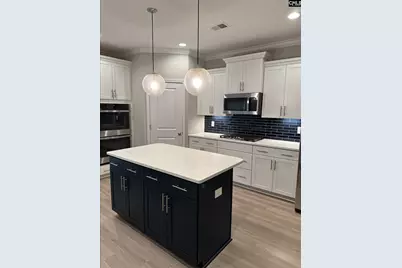 559 Malachite Lane, Chapin, SC 29036 - Photo 5