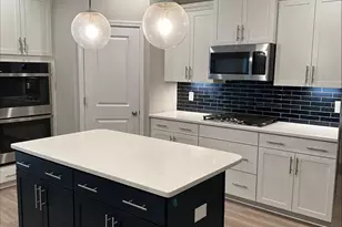 559 Malachite Ln, Chapin, SC 29036 - Photo 5