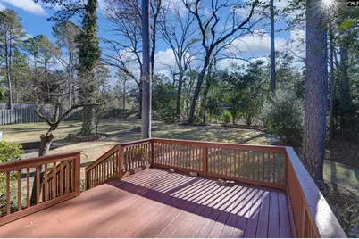 73 Olde Springs Road, Columbia, SC 29223 - Photo 39