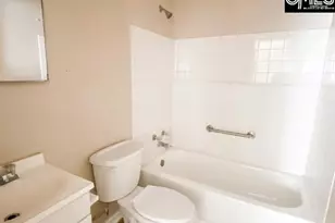 499 Bushberry Rd, Pelion, SC 29123 - Photo 9