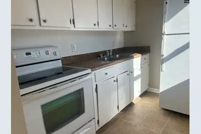 499 Bushberry Road, Pelion, SC 29123 - Photo 5