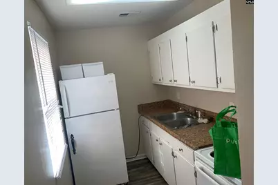 499 Bushberry Road, Pelion, SC 29123 - Photo 7