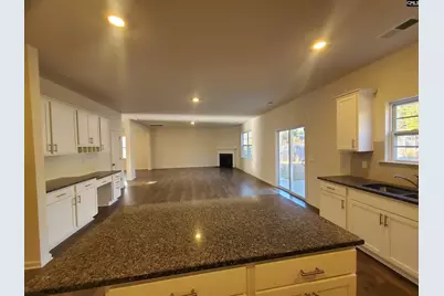 166 Belgrave Drive, Blythewood, SC 29016 - Photo 9