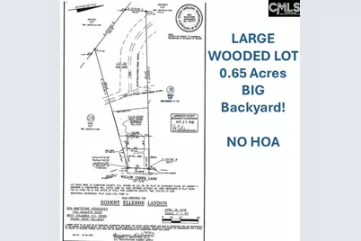 1513 Willow Creek Lane, Columbia, SC 29212 - Photo 9