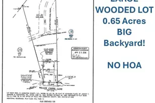 1513 Willow Creek Ln, Columbia, SC 29212 - Photo 9