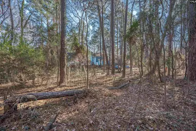 1513 Willow Creek Lane, Columbia, SC 29212 - Photo 45