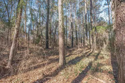 1513 Willow Creek Lane, Columbia, SC 29212 - Photo 43