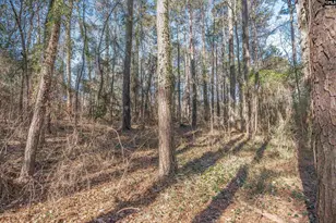 1513 Willow Creek Ln, Columbia, SC 29212 - Photo 43